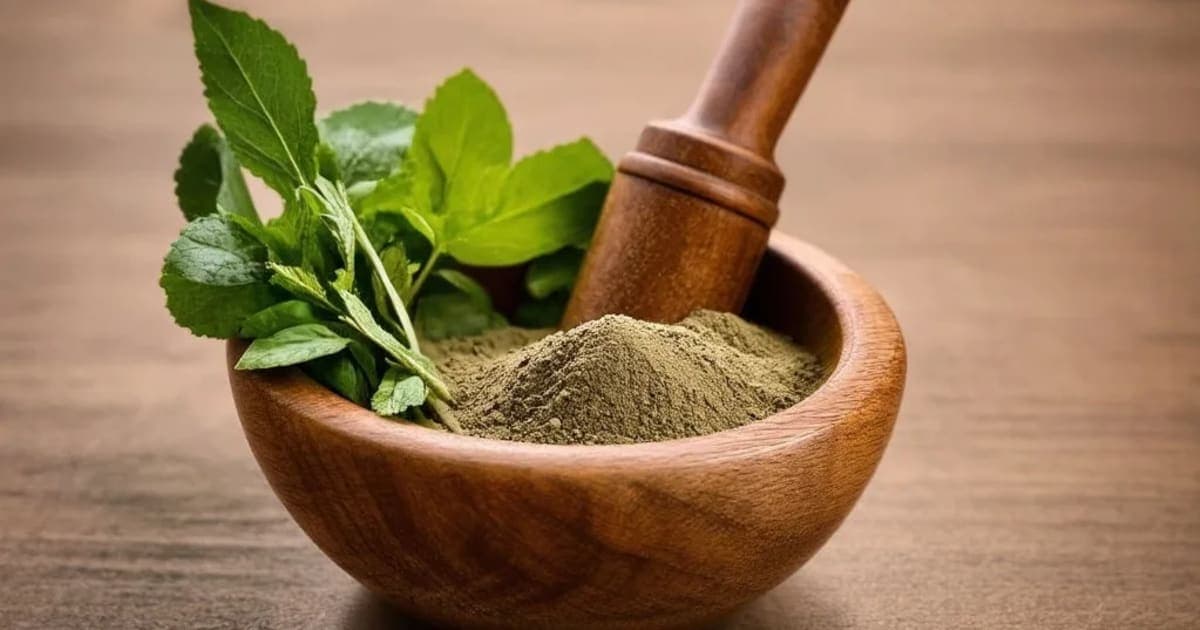 ਸੈਂਧਵ ਲੂਣ ਦੇ ਫਾਇਦੇ — ਆਯੁਰਵੈਦਿਕ ਜੜੀ-ਬੂਟੀ