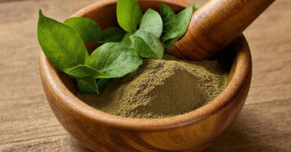 ਮਕੋਇ (Makoy) ਦੇ ਫਾਇਦੇ — ਆਯੁਰਵੈਦਿਕ ਜੜੀ-ਬੂਟੀ