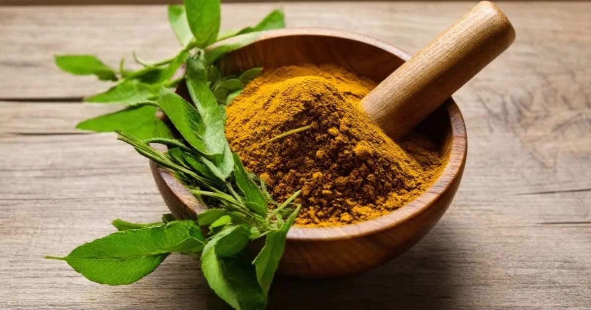 ভারহিকন্দ — আয়ুর্বেদিক ভেষজ