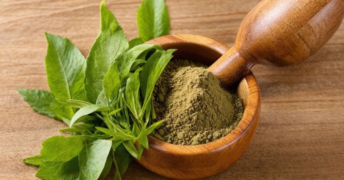 तांदुळियाकाचे फायदे — आयुर्वेदिक वनस्पती