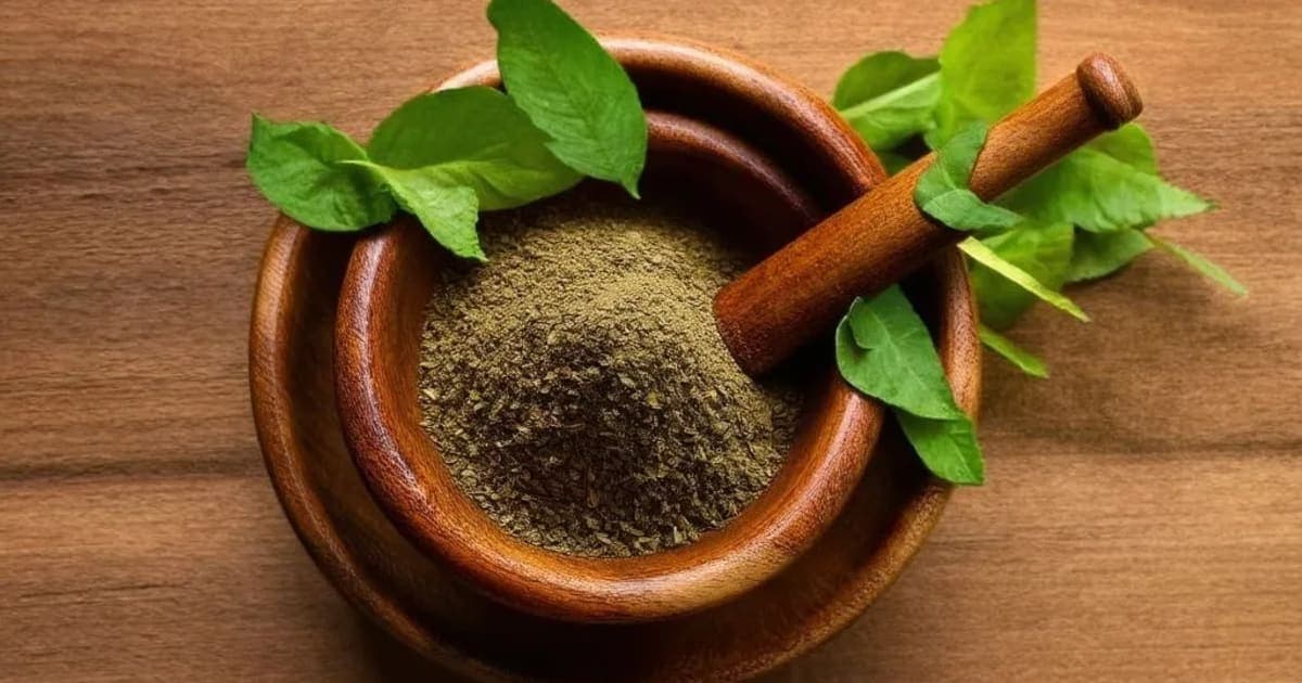 উটিঙ্গানা বীজের উপকারিতা — আয়ুর্বেদিক ভেষজ