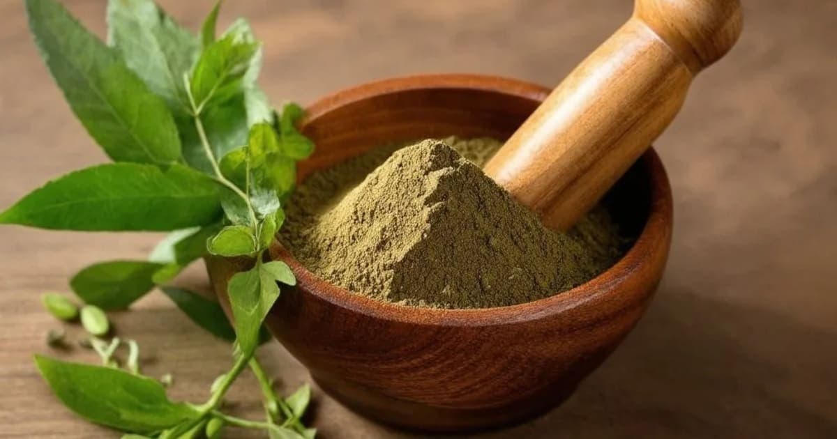 बिजापुरा (सीट्रॉन फळ) — आयुर्वेदिक वनस्पती