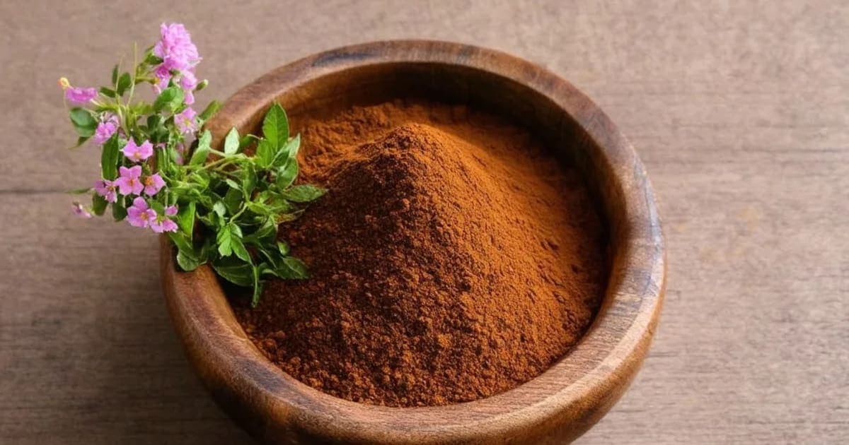 पुनर्नवा — आयुर्वेदिक जड़ी-बूटी