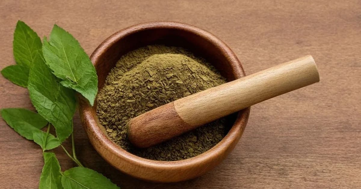 प्रावल पिष्टीचे फायदे — आयुर्वेदिक वनस्पती