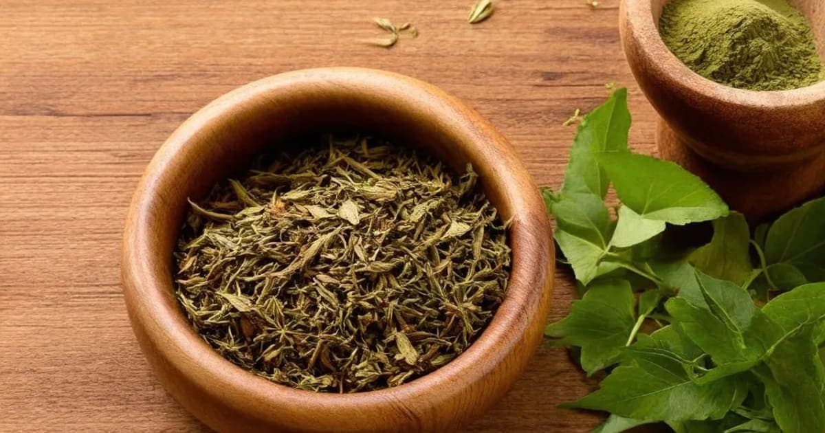 Visha Tinduka ਦੇ ਫਾਇਦੇ, ਸਹੀ ਵਰਤੋਂ ਅਤੇ ਆਯੁਰਵੈਦਿਕ ਗੁਣ — ਆਯੁਰਵੈਦਿਕ ਜੜੀ-ਬੂਟੀ