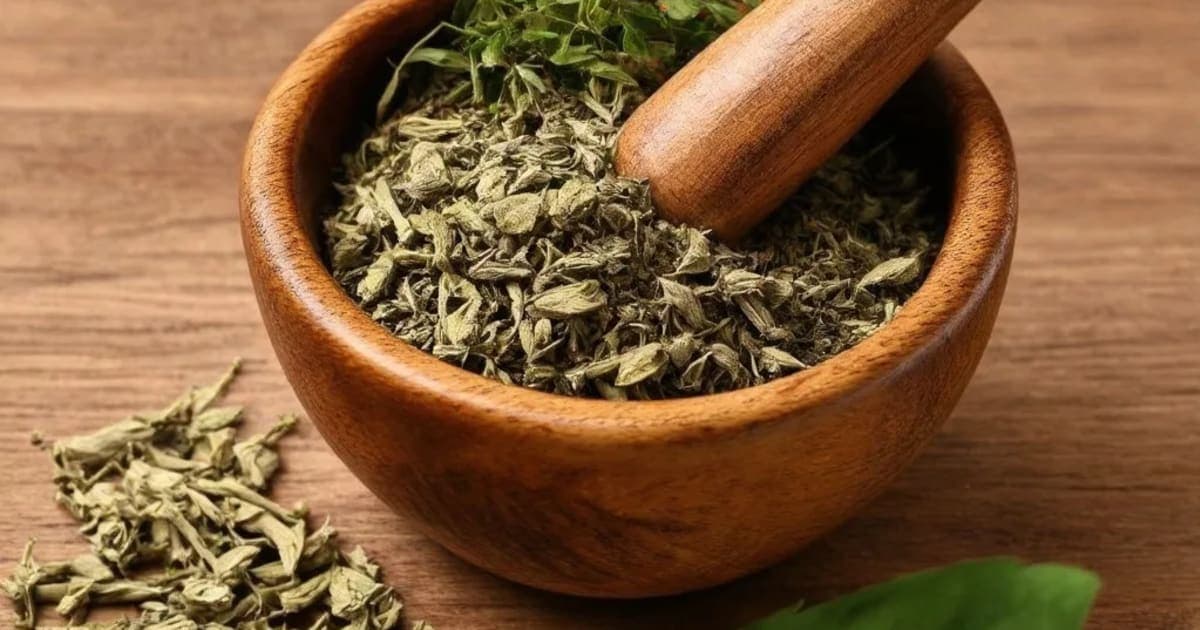 मसूर — आयुर्वेदिक जड़ी-बूटी