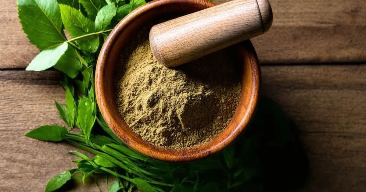 Somavalli — Ayurvedic Herb