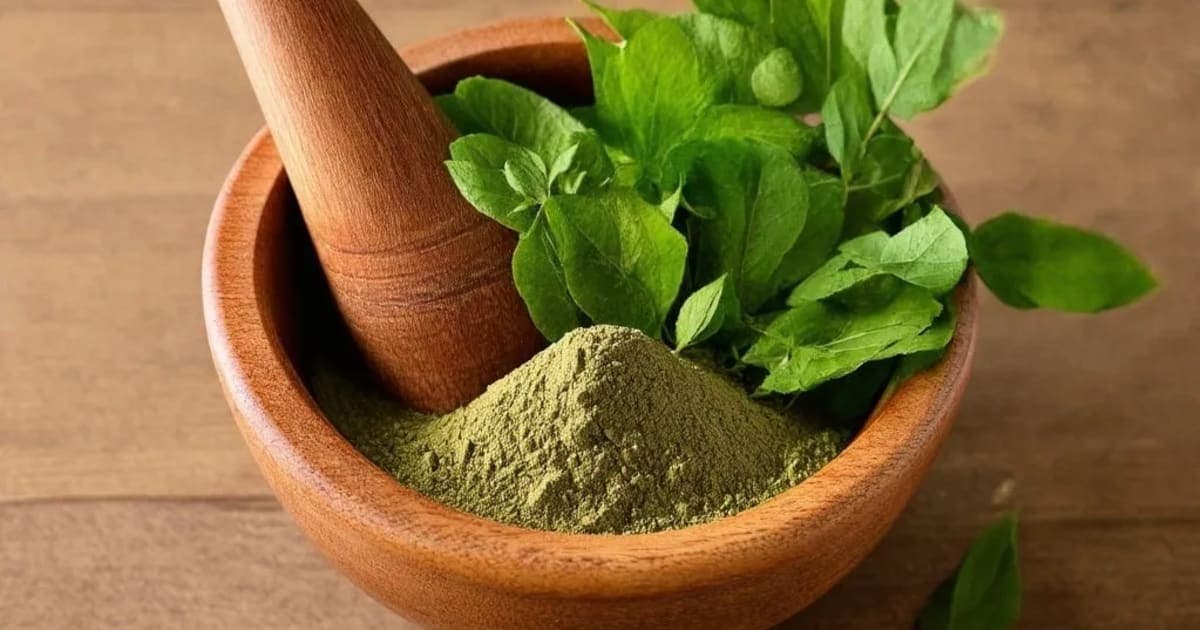 Vyaghranakhi (Capparis zeylanica) — Ayurvedic Herb