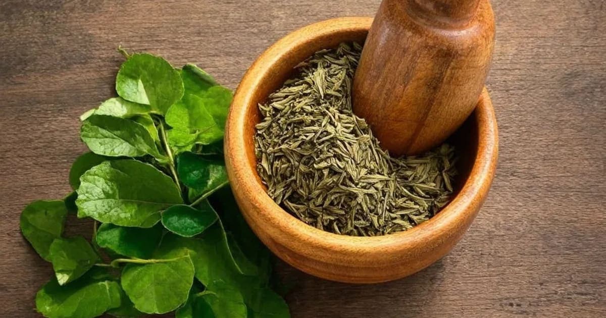 Unlocking the Citrus Power of Matulunga — Ayurvedic Herb