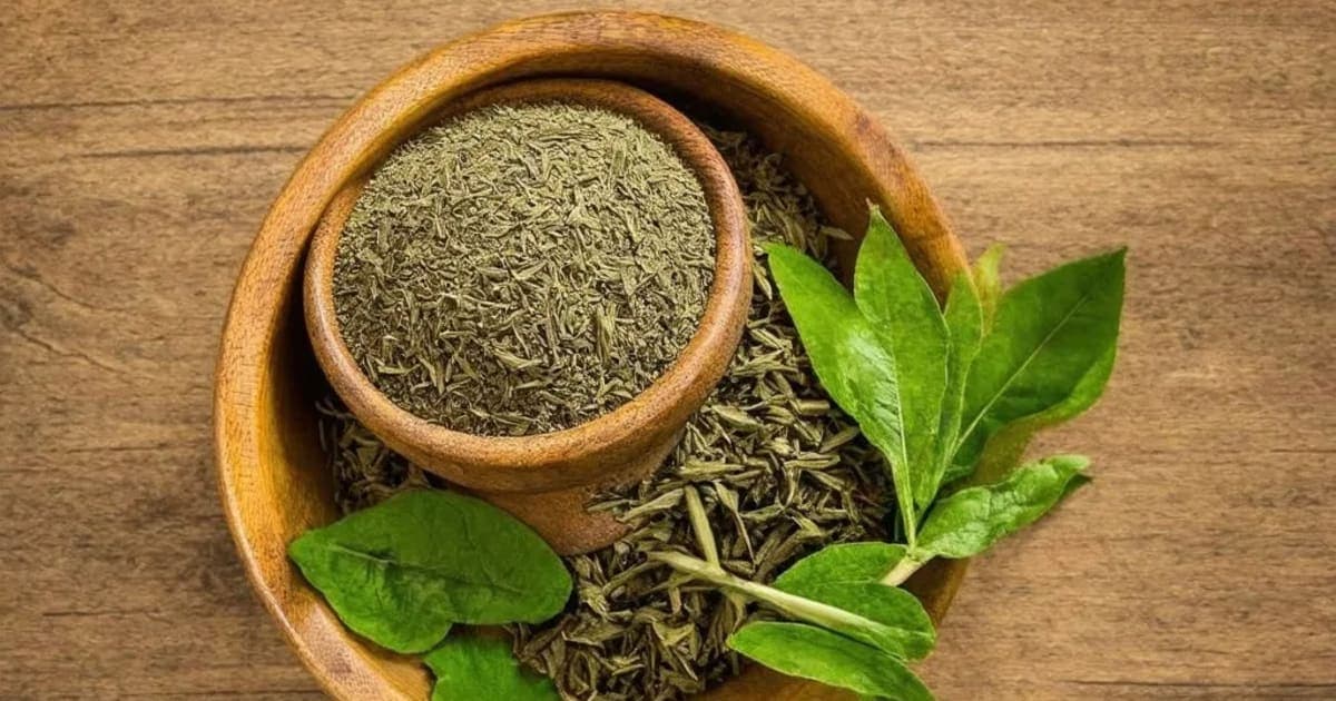 વાત, પિત્ત, કફ — આયુર્વેદિક જડીબુટ્ટી