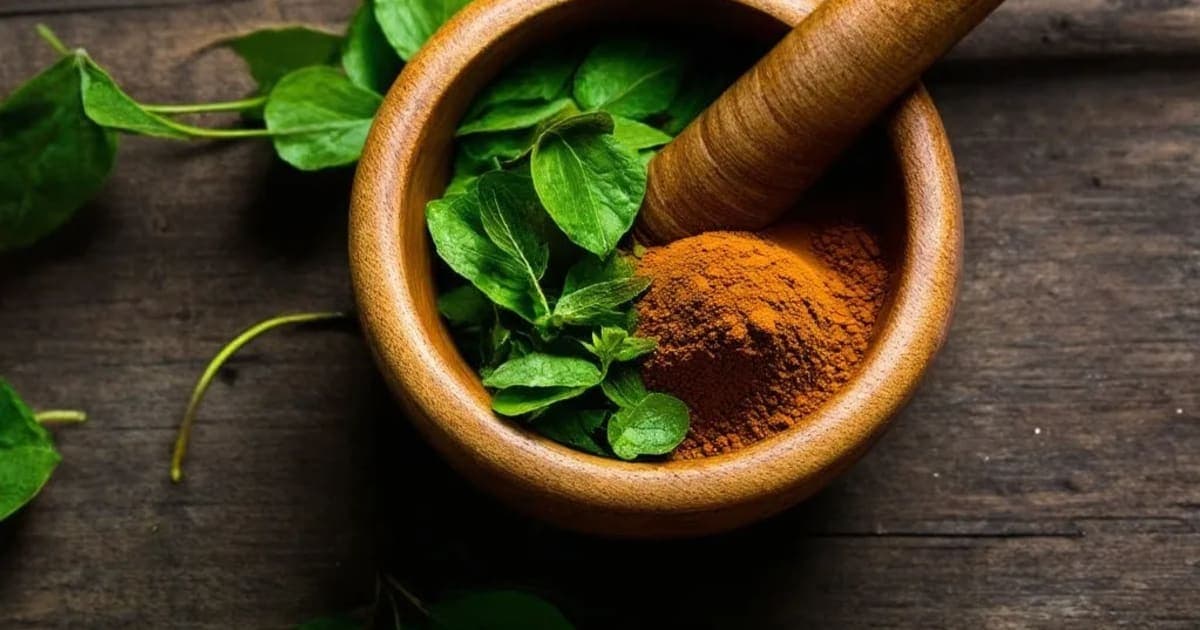 Mochras — Ayurvedic Herb