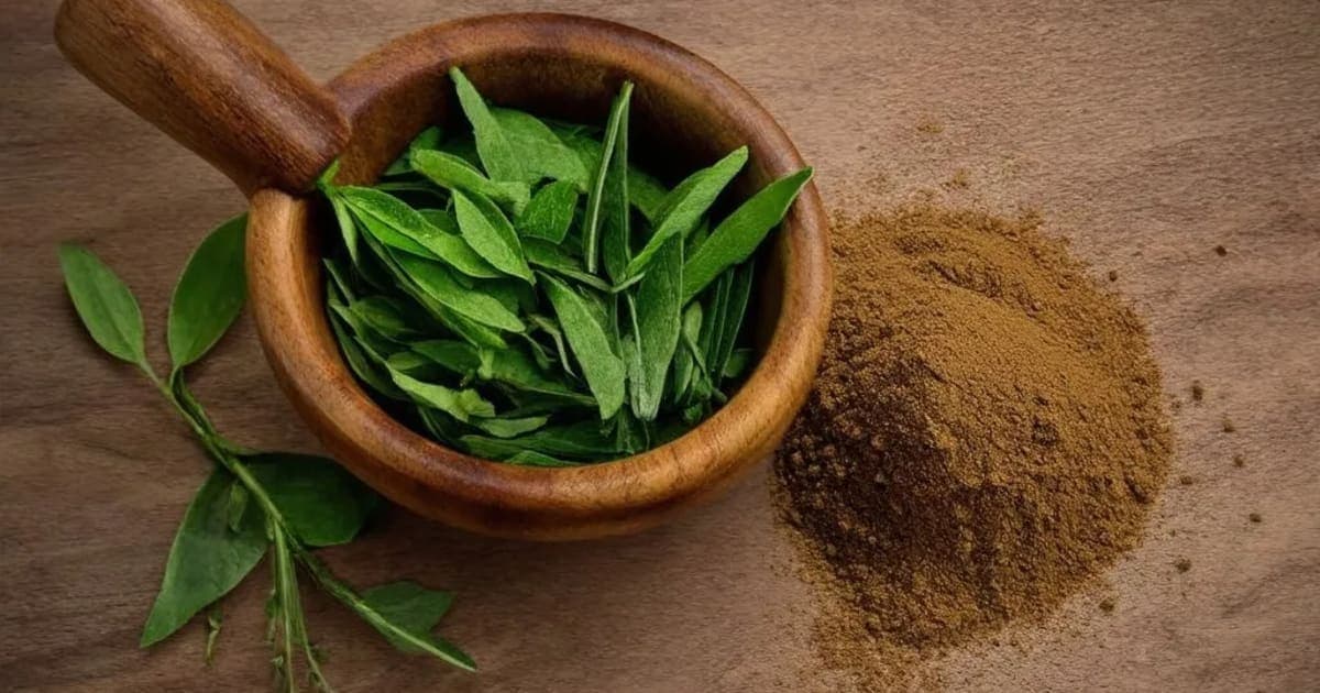 Mayurashikha — Ayurvedic Herb