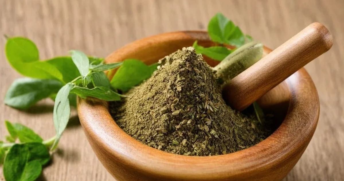 तुळशीचे फायदे — आयुर्वेदिक वनस्पती