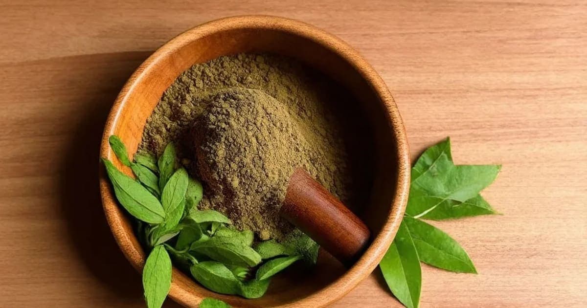 ಪುಷ್ಕರಮೂಲ — ಆಯುರ್ವೇದ ಮೂಲಿಕೆ