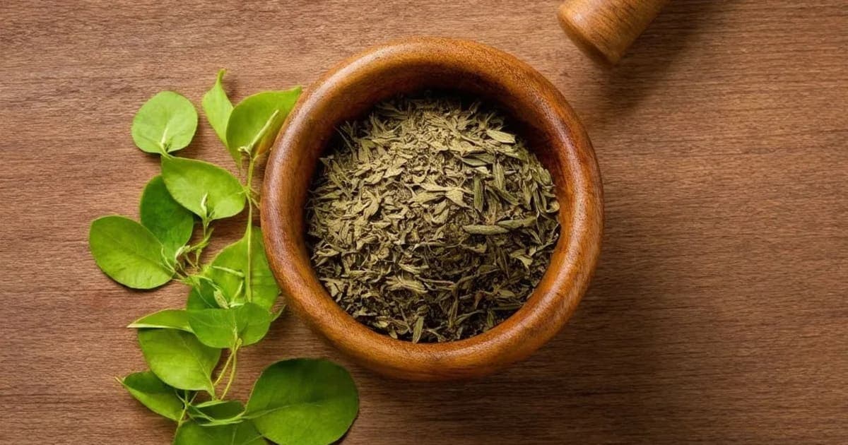 कोकिलाक्ष — आयुर्वेदिक जड़ी-बूटी