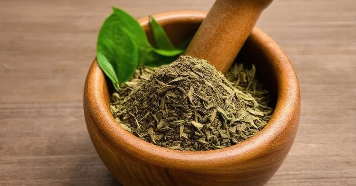 ದಂತಿ — ಆಯುರ್ವೇದ ಮೂಲಿಕೆ