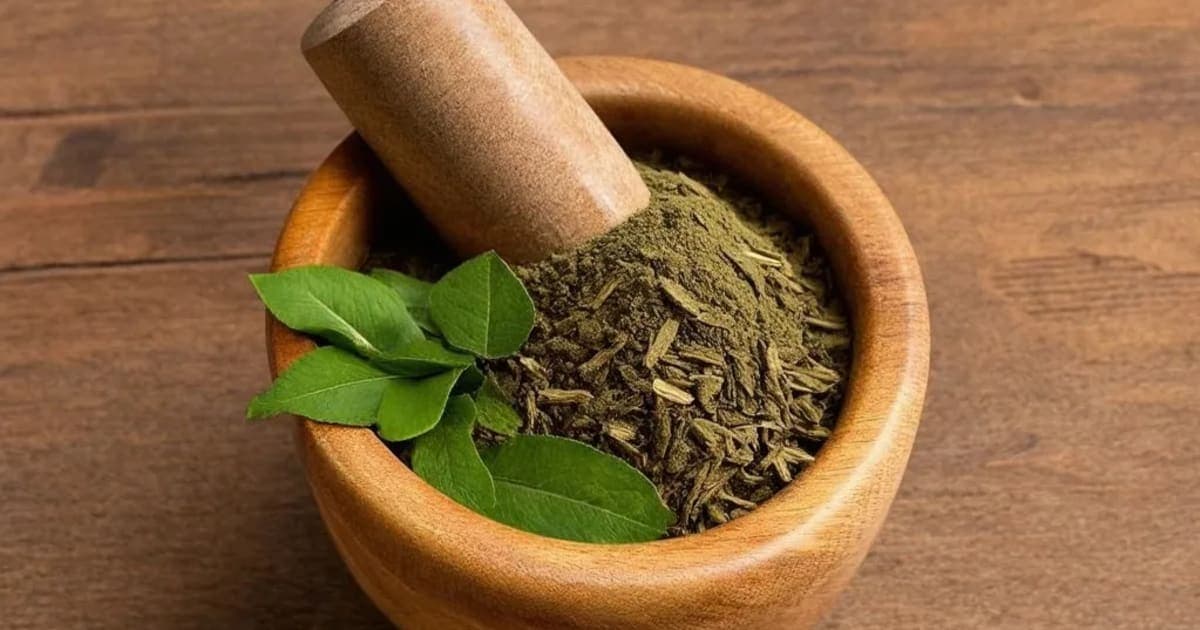 பர்ப்படகம் (Parpataka) — ஆயுர்வேத மூலிகை