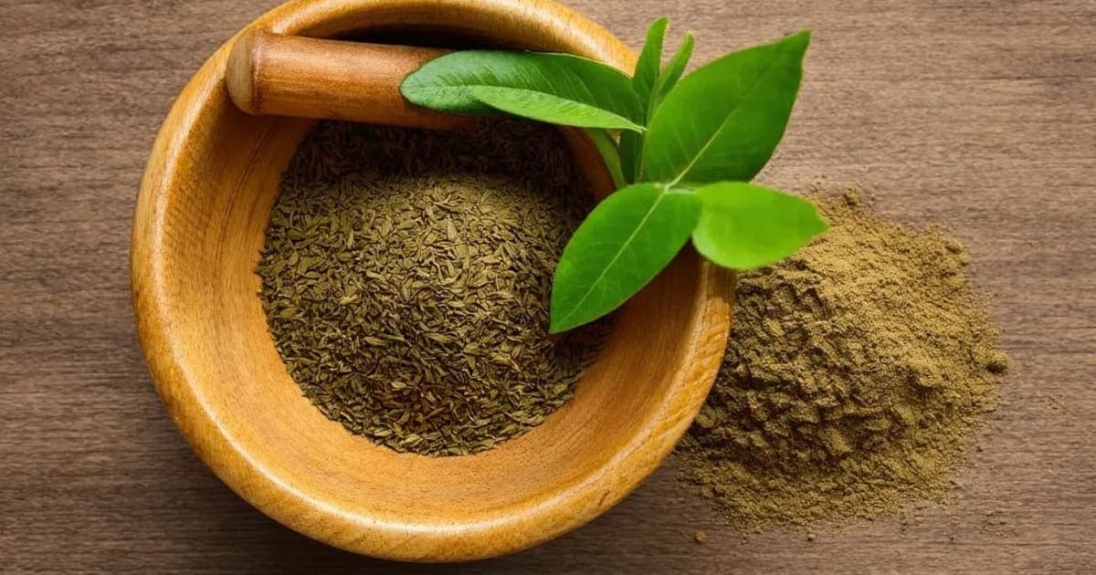 യവനി (Ajwain) — ആയുർവേദ ഔഷധം