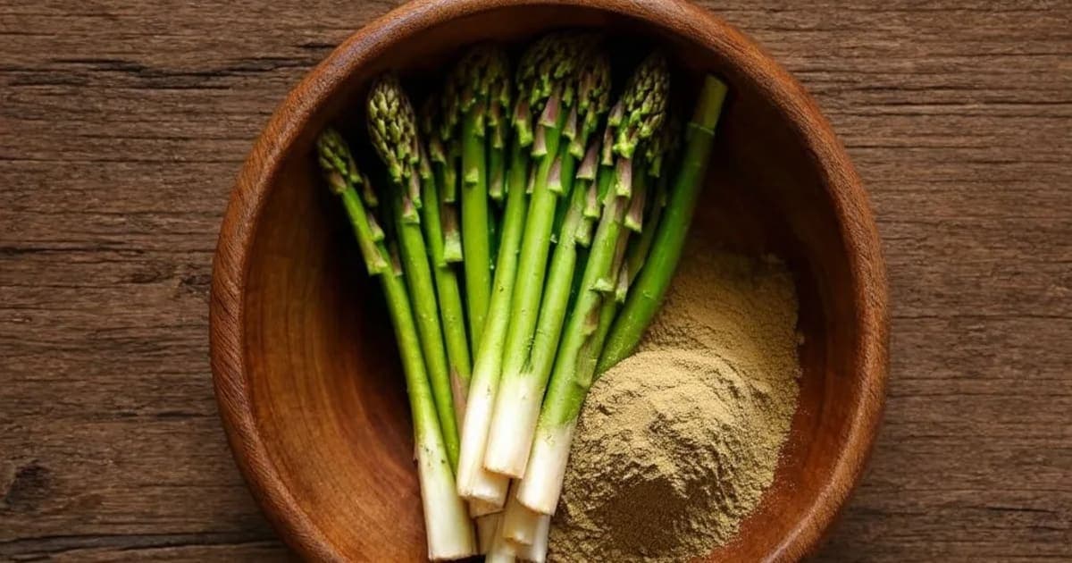 শতাবরী — আয়ুর্বেদিক ভেষজ