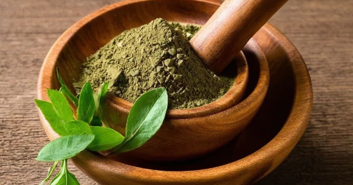 താമൽപത്രം (ബേ ലീഫ്) — ആയുർവേദ ഔഷധം