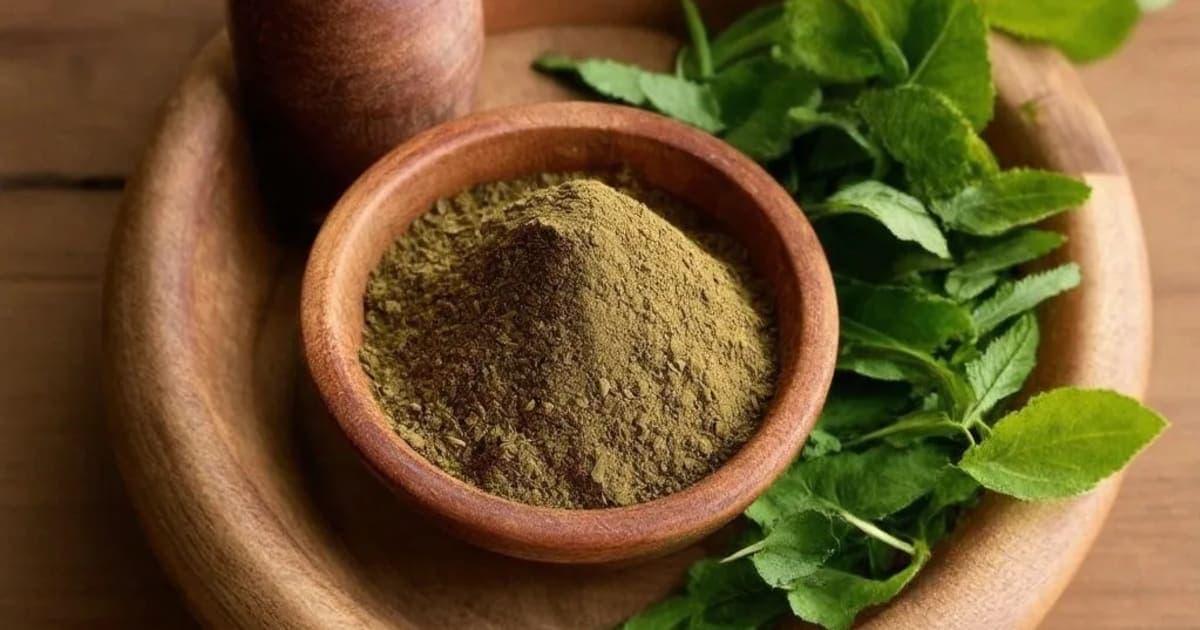 ਗੋਰਖਮੁੰਦੀ — ਆਯੁਰਵੈਦਿਕ ਜੜੀ-ਬੂਟੀ