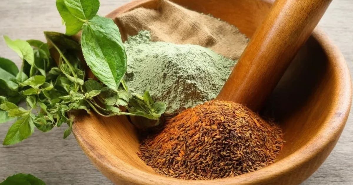 సైనస్కు ఆయుర్వేద చికిత్సలు — ఆయుర్వేద మూలిక