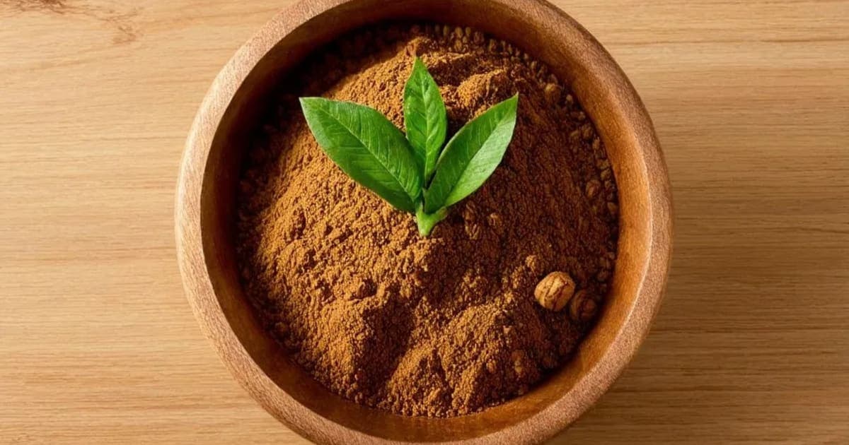 Haritaki — Ayurvedic Herb