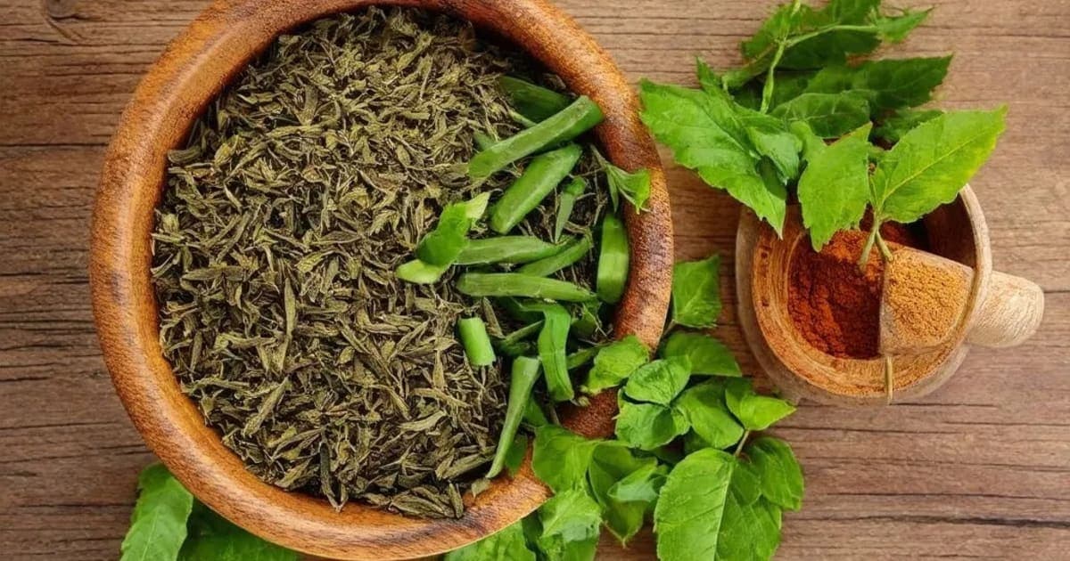 Kshirabala 101 Avarti — Ayurvedic Herb
