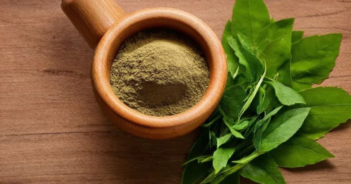 The Remarkable Benefits of Giloy — Ayurvedic Herb